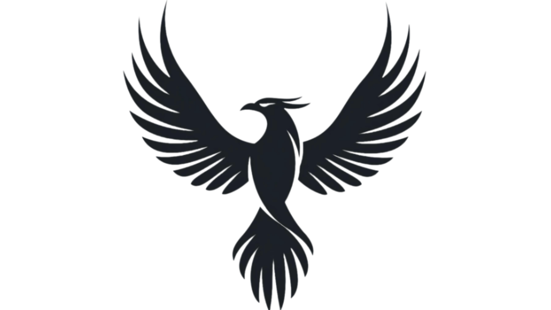 Professional services faq fearless harbor llc